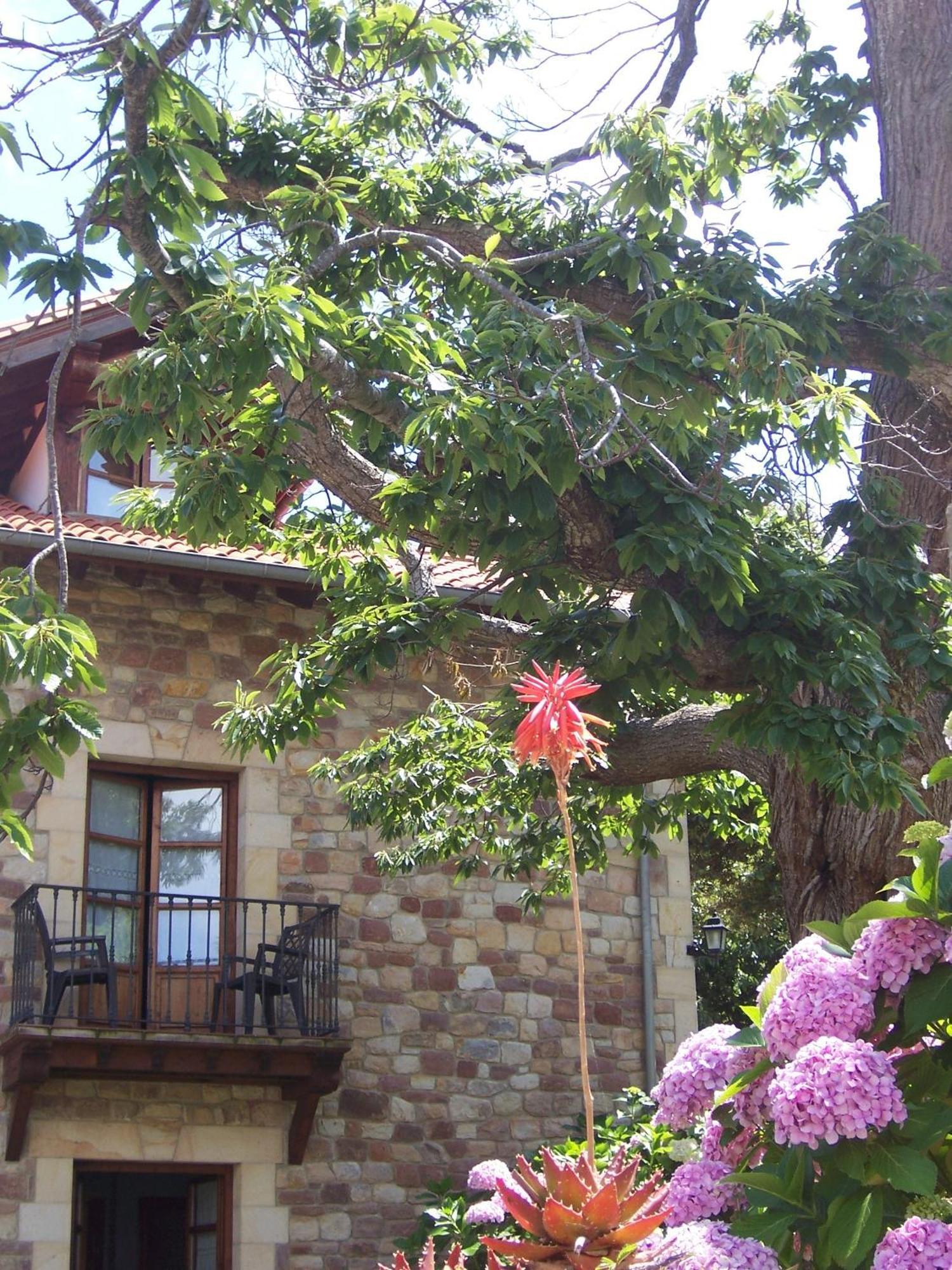 Posada Fuentedevilla Pechón Exteriér fotografie